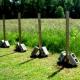 Do-it-yourself wooden fence posts
